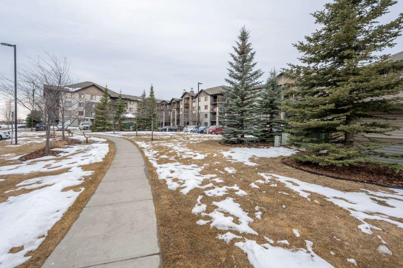 2214, 8 Bridlecrest Drive SW, Calgary, 1 Bedroom Bedrooms, ,1 BathroomBathrooms,Condos/Townhouses,Rented,Bridleview Pointe,2214, 8 Bridlecrest Drive SW,2943