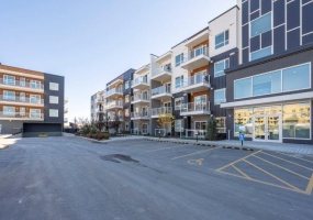 4401, 550 Belmont Street Southwest, Calgary, 1 Bedroom Bedrooms, ,1 BathroomBathrooms,Condos/Townhouses,For Rent,Belmont Plaza,4401, 550 Belmont Street Southwest,3028