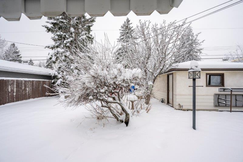 2735 Brecken Rd NW, Calgary, 2 Bedrooms Bedrooms, ,1 BathroomBathrooms,Houses,For Rent,2735 Brecken Rd NW,3068